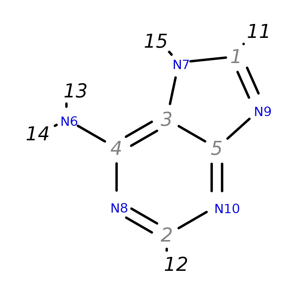 Image for Adenine