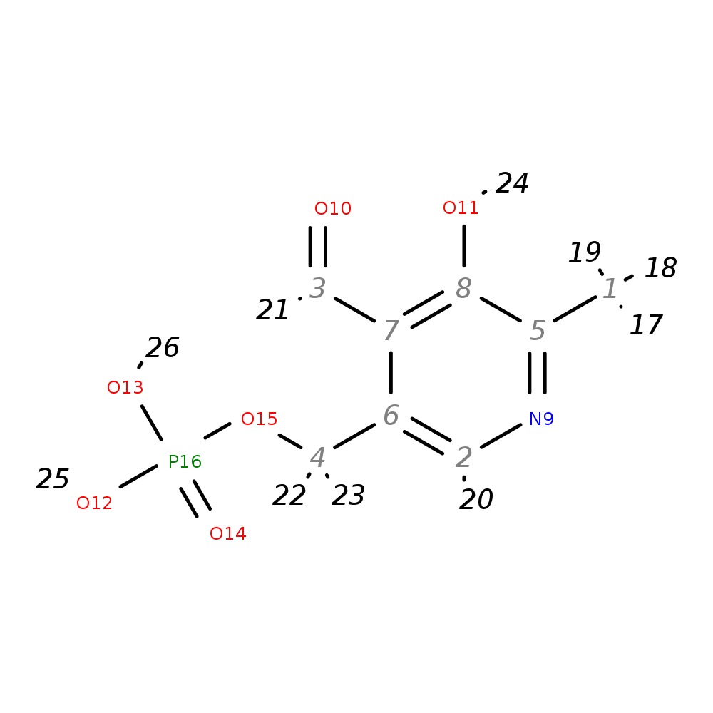 Image for Pyridoxal-5-Phosphate