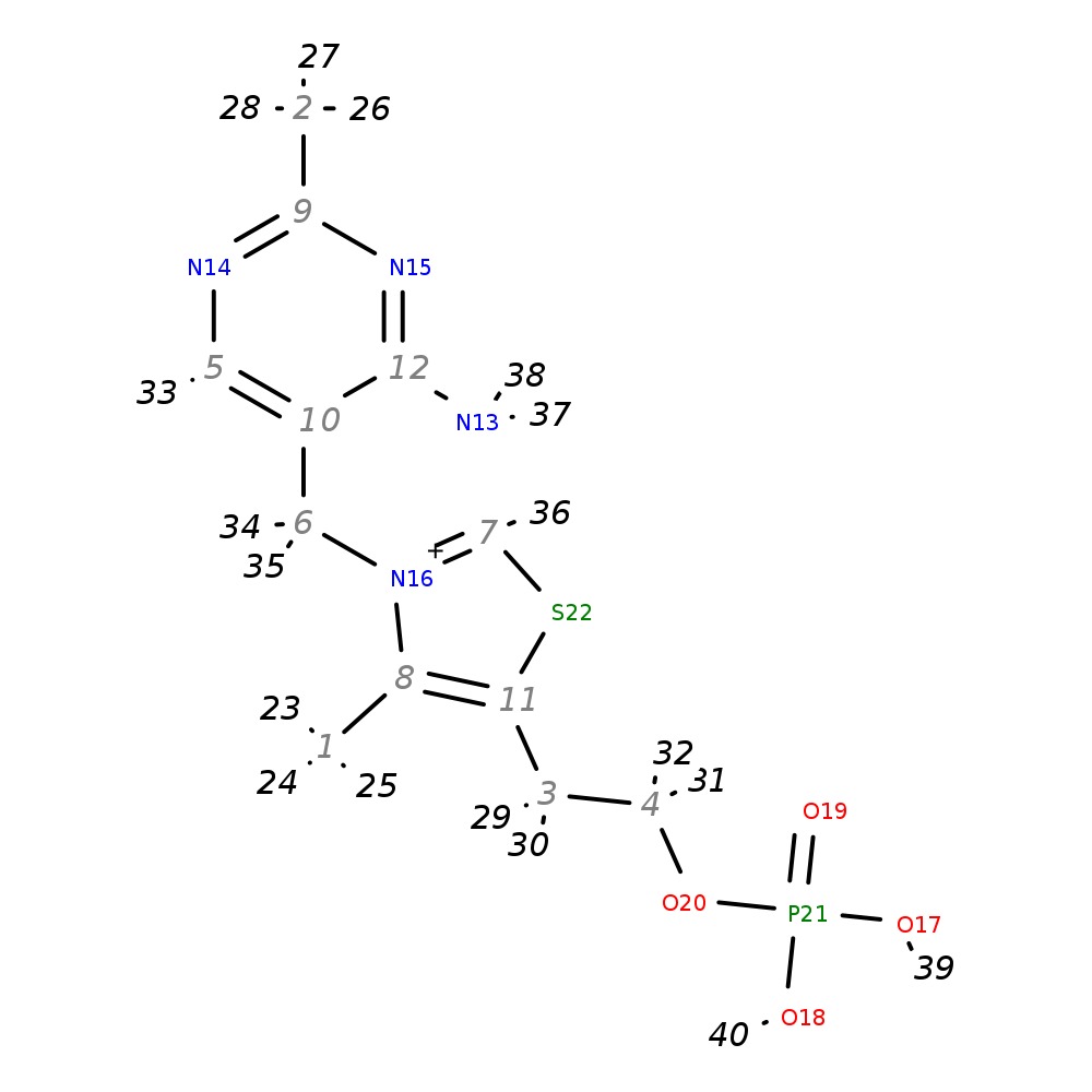 Image for Thiamine Monophosphate