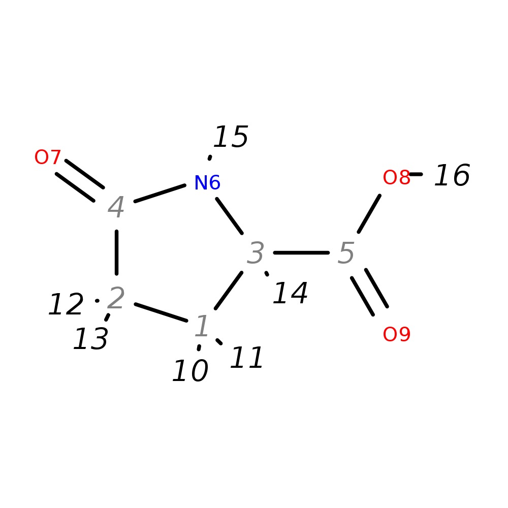Image for R-(+)-2-Pyrrolidinone-5-Carboxylate