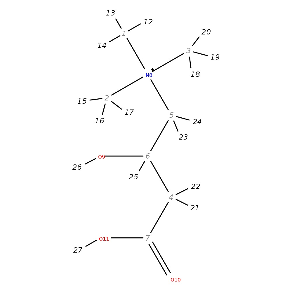 Image for Carnitine