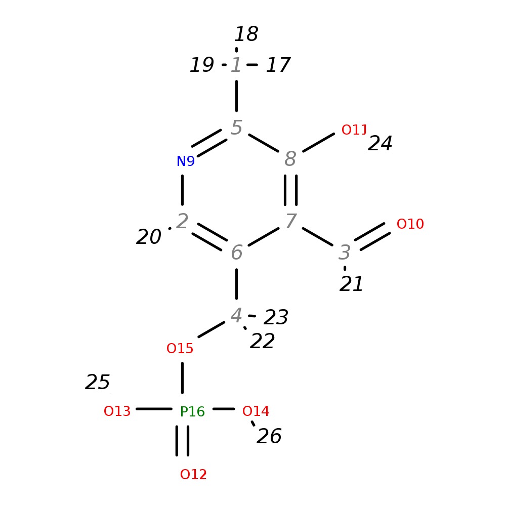 Image for Pyridoxal-5'-Phosphate