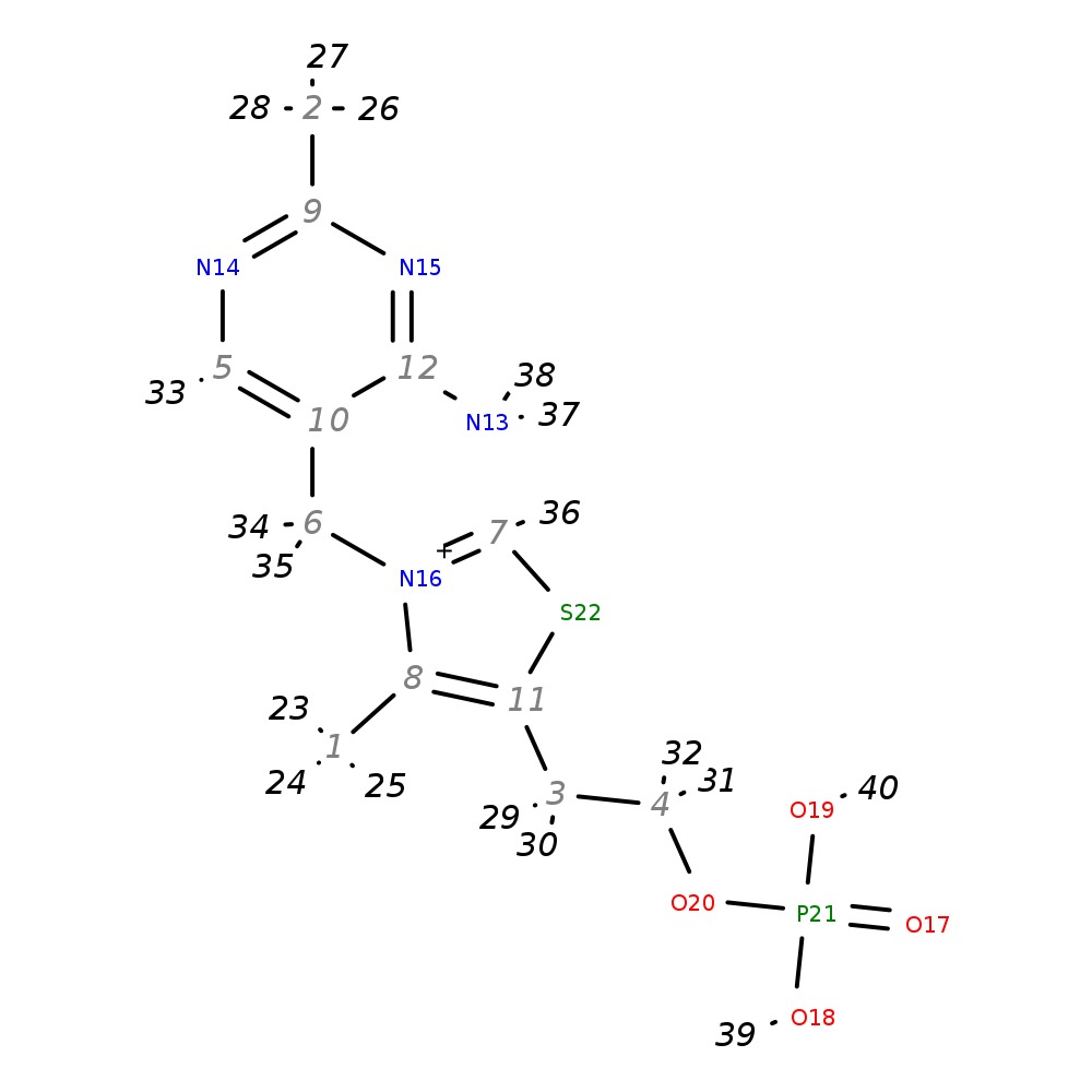 Image for Thiamin Phosphate