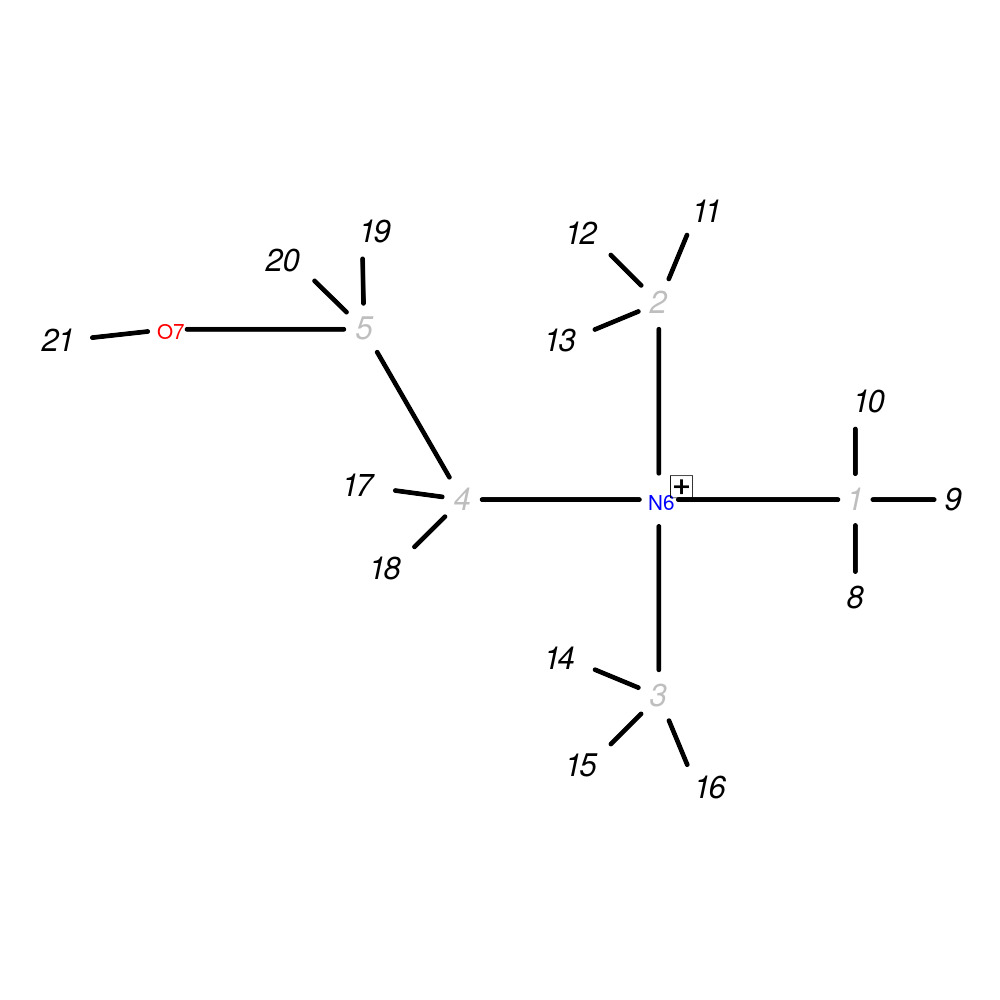 Image for Choline