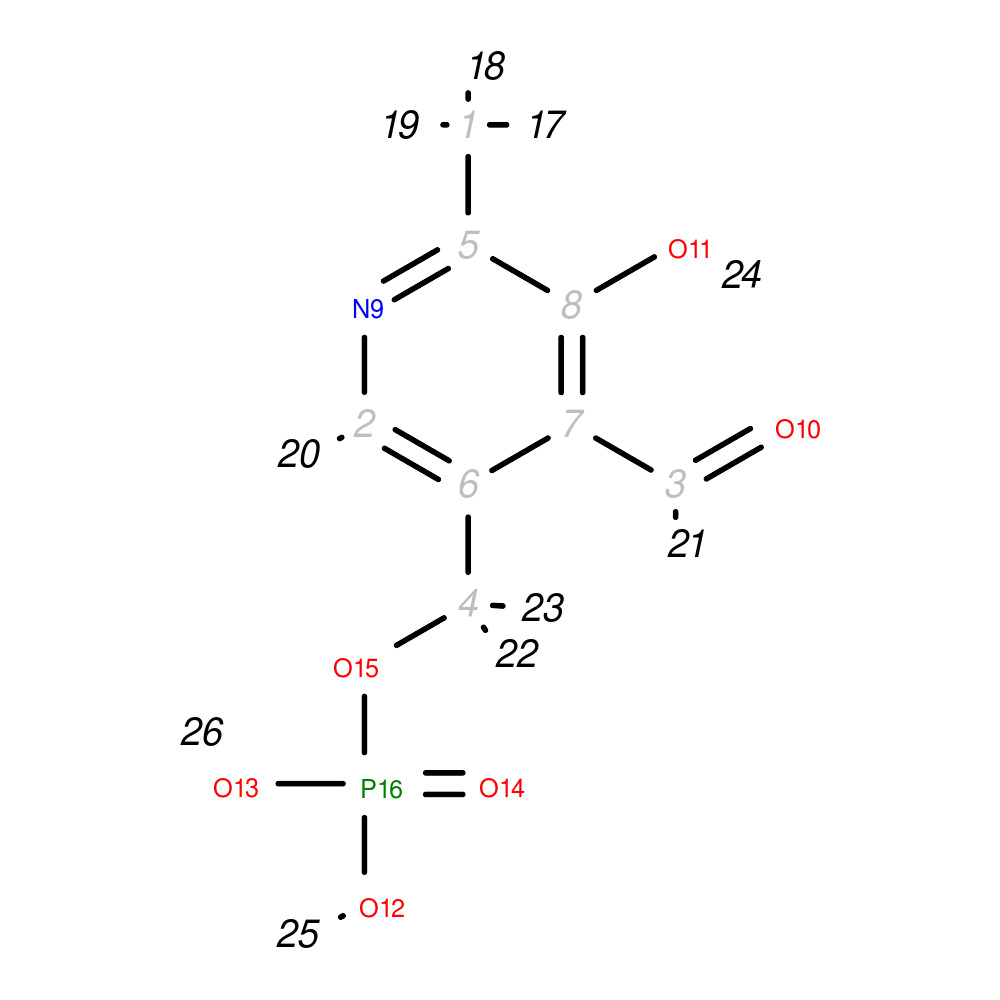 Image for Pyridoxal 5'-Phosphate